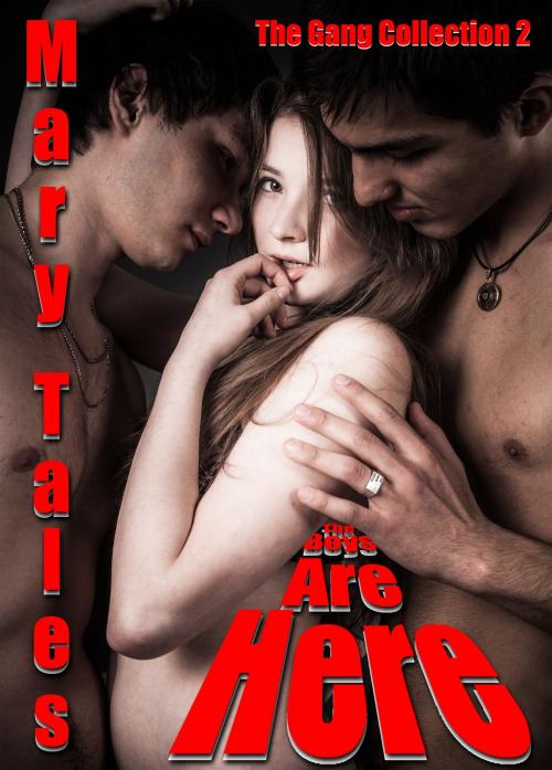 Cover of the book The Boys Are Here by Mary Tales, Mary Tales