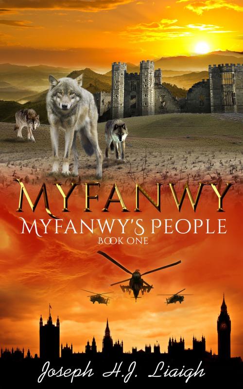 Cover of the book Myfanwy: The First Book of the Myfanwy's People Series. by Joseph H.J. Liaigh, Joseph H.J. Liaigh