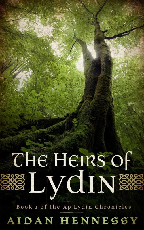 Cover of the book The Heirs of Lydin by Aidan Hennessy, Aidan Hennessy