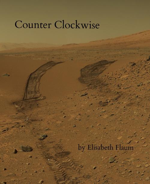 Cover of the book Counter Clockwise by Elisabeth Flaum, Elisabeth Flaum