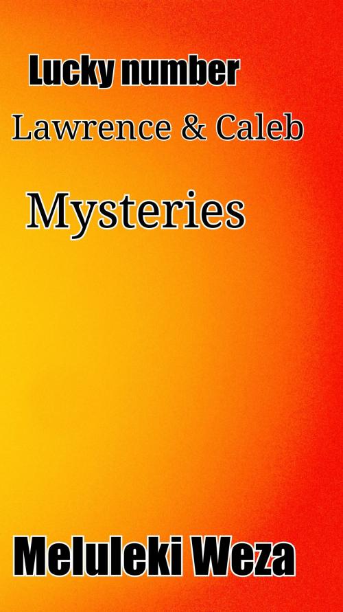 Cover of the book The Lucky number: Lawrence and Caleb mysteries by Meluleki Weza, Meluleki Weza
