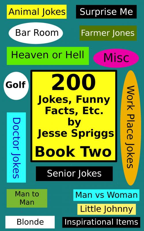 Cover of the book 200 Jokes, Funny Facts, Etc.:Book Two by Jesse Spriggs, Penn Mill Publishing