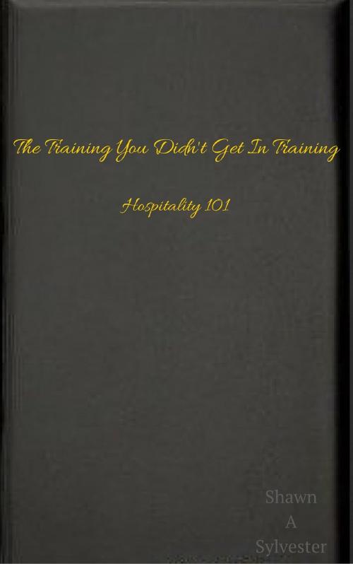 Cover of the book The Training You Didn't Get In Training by Shawn Sylvester, Shawn Sylvester