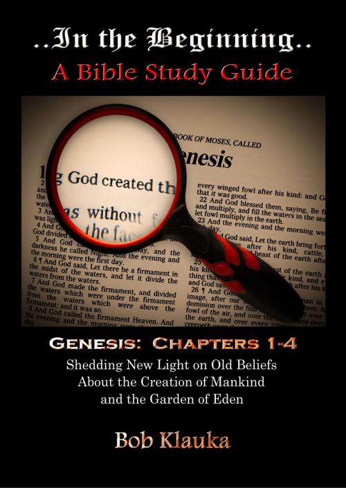 Cover of the book In the Beginning: Genesis, Chapters 1-4 -- Shedding New Light on Old Beliefs About the Creation of Mankind and the Garden of Eden by Bob Klauka, Bob Klauka