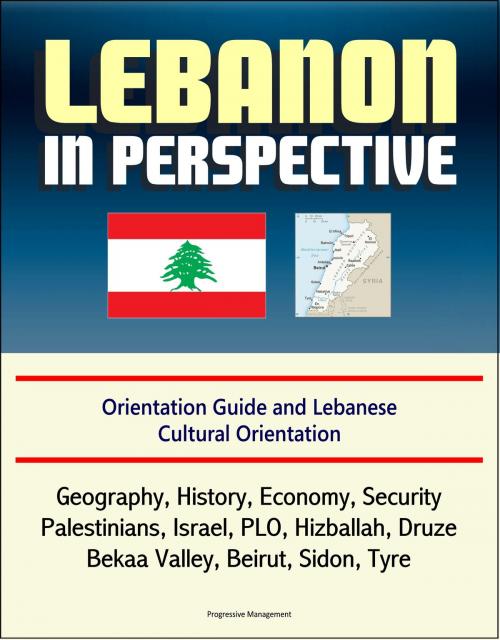 Cover of the book Lebanon in Perspective: Orientation Guide and Lebanese Cultural Orientation: Geography, History, Economy, Security, Palestinians, Israel, PLO, Hizballah, Druze, Bekaa Valley, Beirut, Sidon, Tyre by Progressive Management, Progressive Management