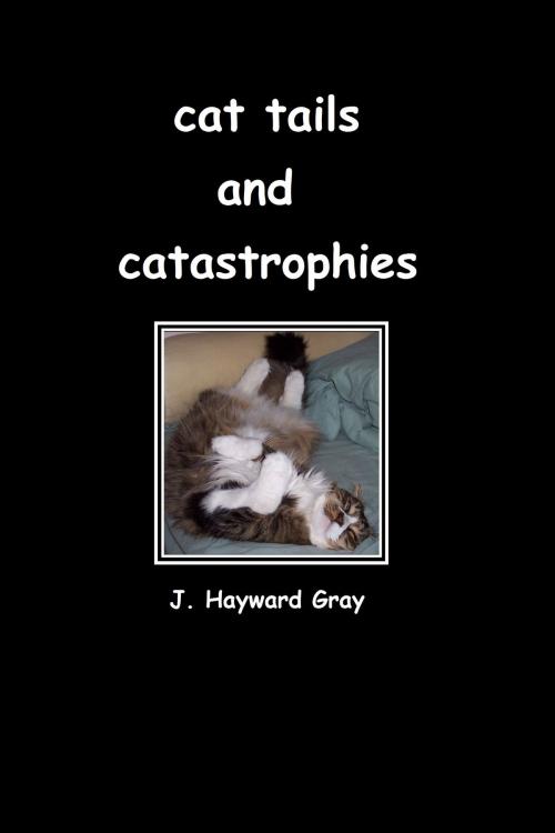 Cover of the book Cat Tails and Catastrophes by J. Hayward Gray, J. Hayward Gray