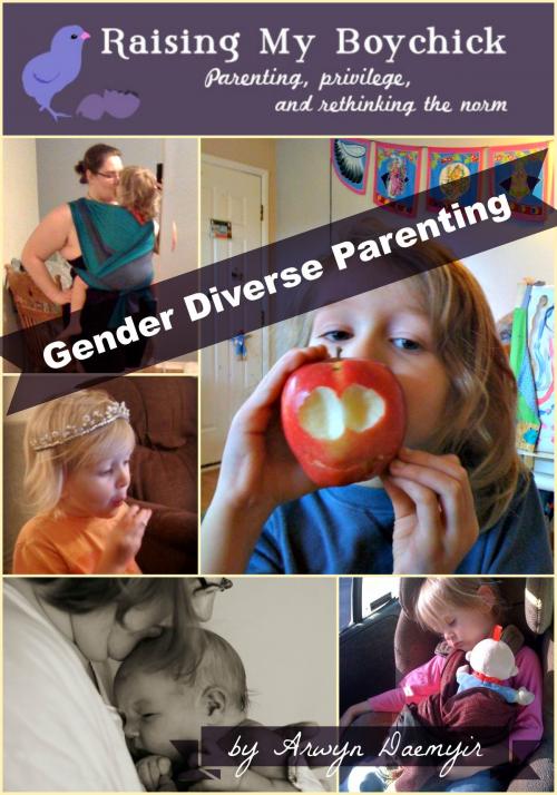Cover of the book Gender Diverse Parenting: A Raising My Boychick Collection by Arwyn Daemyir, Arwyn Daemyir