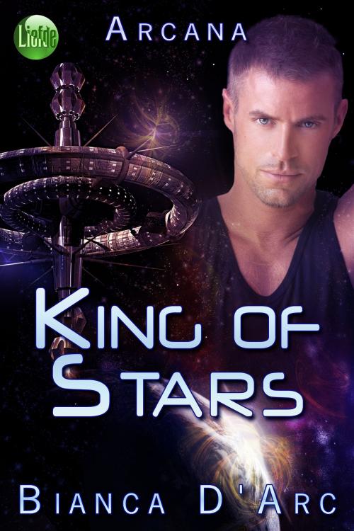 Cover of the book King of Stars by Bianca D'Arc, Hawk Publishing