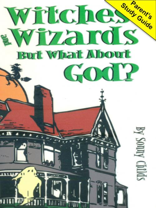 Cover of the book Witches and Wizards But What About God? by Sonny Childs, Sonny Childs