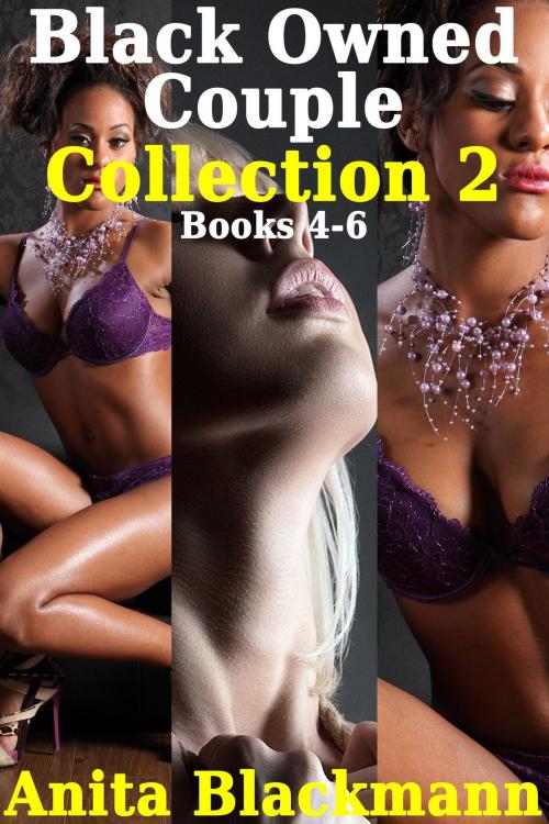 Cover of the book Black Owned Couple Collection 2, Books 4-6 by Anita Blackmann, Deadlier Than the Male Publications