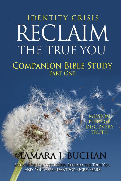 Cover of the book Identity Crisis Reclaim the True You: Companion Bible Study Part 1 by Tamara J. Buchan, Tamara J. Buchan
