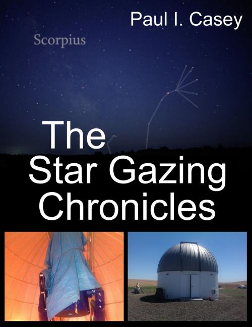 Cover of the book The Star Gazing Chronicles by Paul Casey, JS Blume Publishing