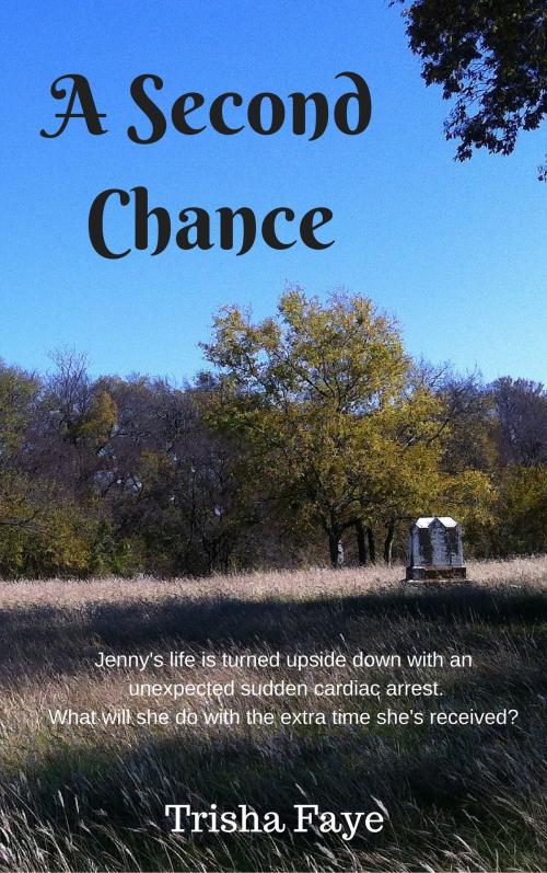Cover of the book A Second Chance by Trisha Faye, Trisha Faye