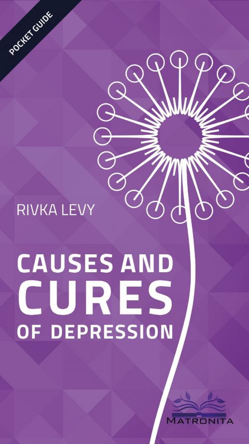 Cover of the book Causes and Cures of Depression by Rivka Levy, Rivka Levy