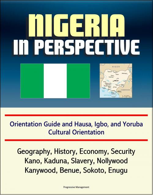 Cover of the book Nigeria in Perspective: Orientation Guide and Hausa, Igbo, and Yoruba Cultural Orientation: Geography, History, Economy, Security, Kano, Kaduna, Slavery, Nollywood, Kanywood, Benue, Sokoto, Enugu by Progressive Management, Progressive Management