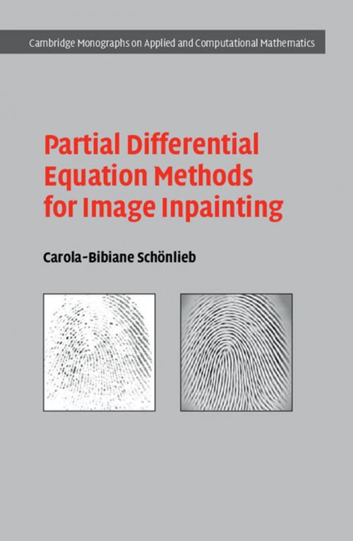 Cover of the book Partial Differential Equation Methods for Image Inpainting by Carola-Bibiane Schönlieb, Cambridge University Press