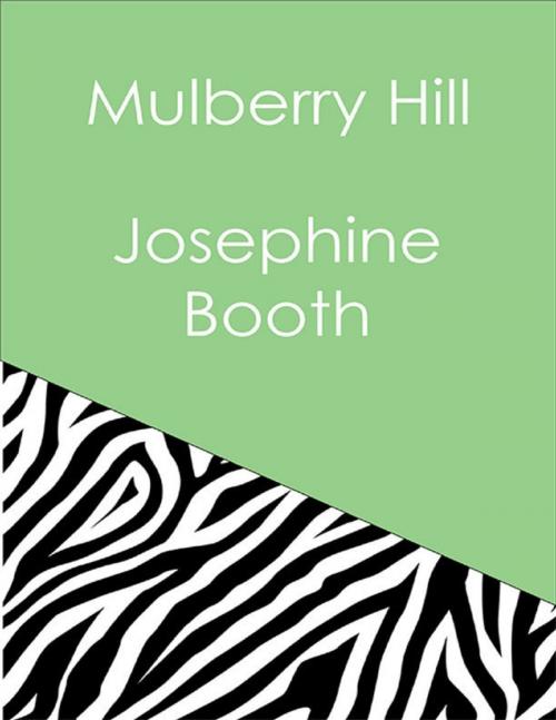 Cover of the book Mulberry Hill by Josephine Booth, Lulu.com