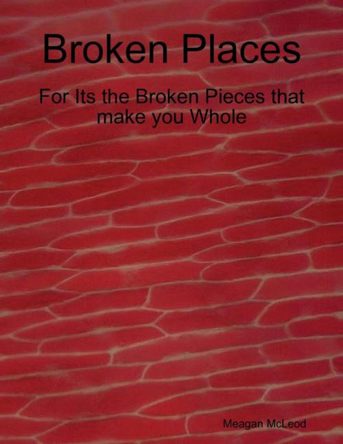 Cover of the book Broken Places by Meagan McLeod, Lulu.com