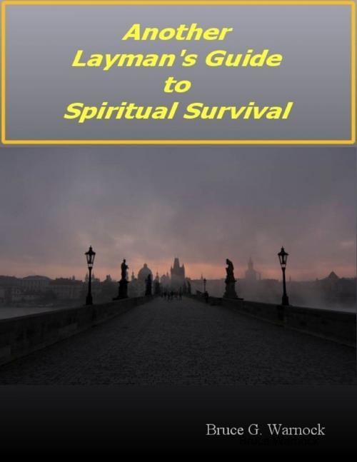 Cover of the book Another Layman's Guide to Spiritual Survival by Bruce Warnock, Lulu.com