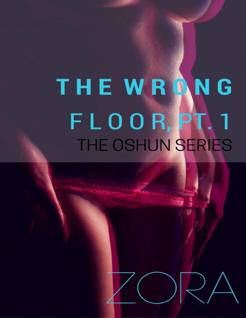 Cover of the book The Wrong Floor, Pt. 1 - The Oshun Series by Zora, Lulu.com
