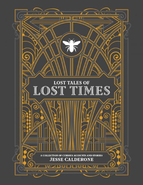 Cover of the book Lost Tales of Lost Times by Jesse Calderone, Lulu.com