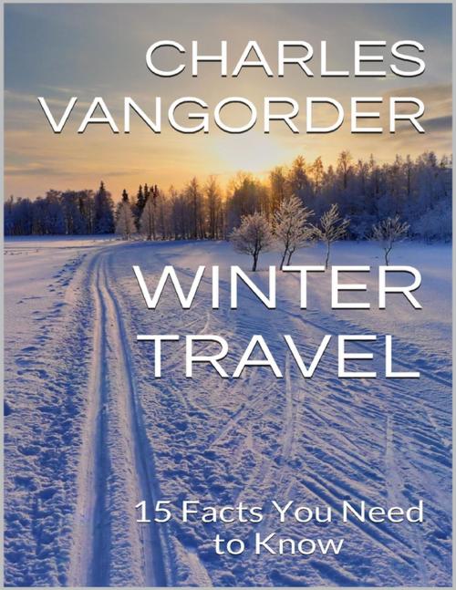 Cover of the book Winter Travel: 15 Facts You Need to Know by Charles Vangorder, Lulu.com