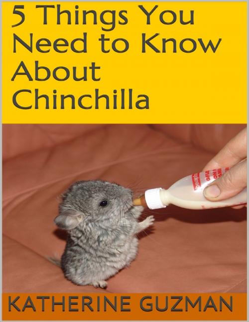 Cover of the book 5 Things You Need to Know About Chinchilla by Katherine Guzman, Lulu.com