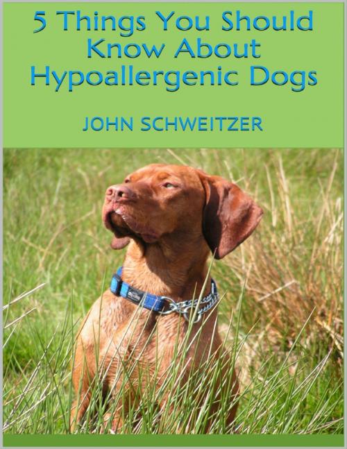 Cover of the book 5 Things You Should Know About Hypoallergenic Dogs by John Schweitzer, Lulu.com