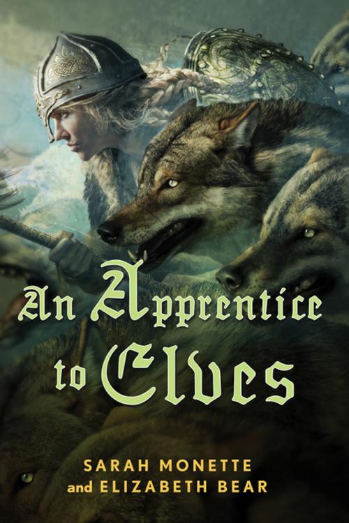 Cover of the book An Apprentice to Elves by Elizabeth Bear, Sarah Monette, Tom Doherty Associates