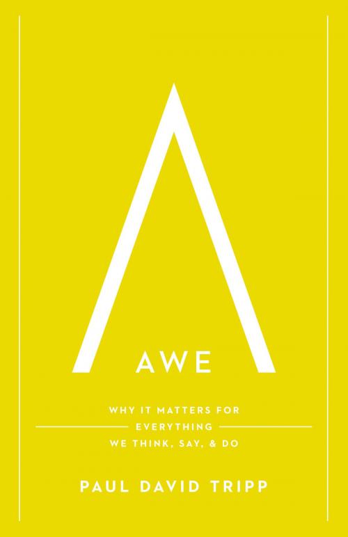 Cover of the book Awe by Paul David Tripp, Crossway