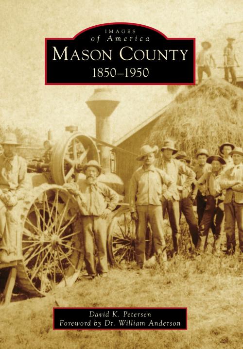 Cover of the book Mason County by David K. Petersen, Arcadia Publishing Inc.