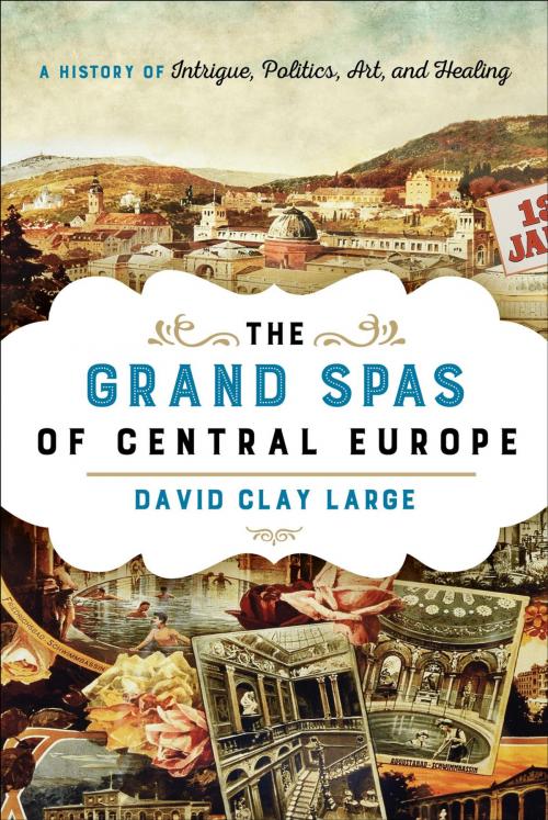 Cover of the book The Grand Spas of Central Europe by David Clay Large, Rowman & Littlefield Publishers