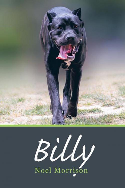 Cover of the book Billy by Noel Morrison, Balboa Press AU