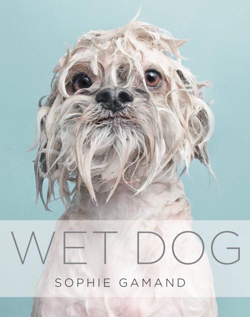 Cover of the book Wet Dog by Sophie Gamand, Grand Central Publishing