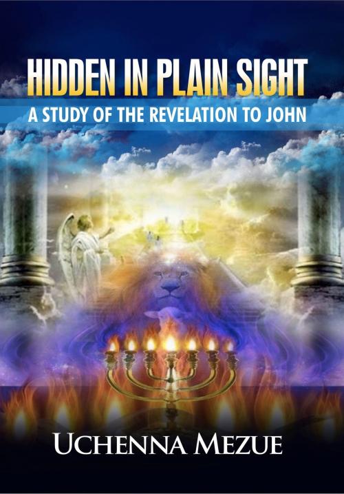 Cover of the book Hidden In Plain Sight: A Study of the Revelation to John by Uchenna Mezue, eBookIt.com