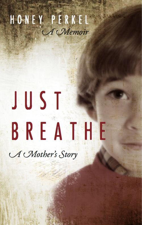 Cover of the book Just Breathe by Honey Perkel, eBookIt.com