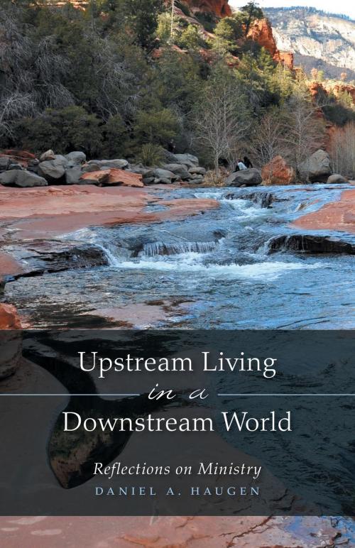 Cover of the book Upstream Living in a Downstream World by Daniel A. Haugen, FriesenPress