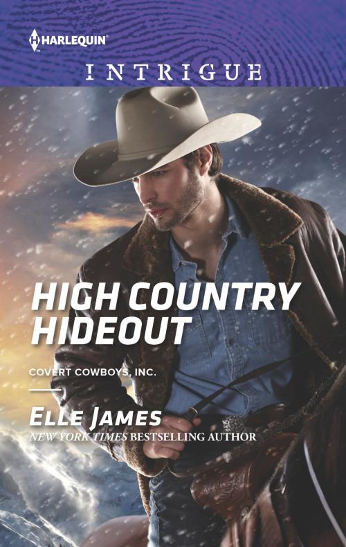 Cover of the book High Country Hideout by Elle James, Harlequin