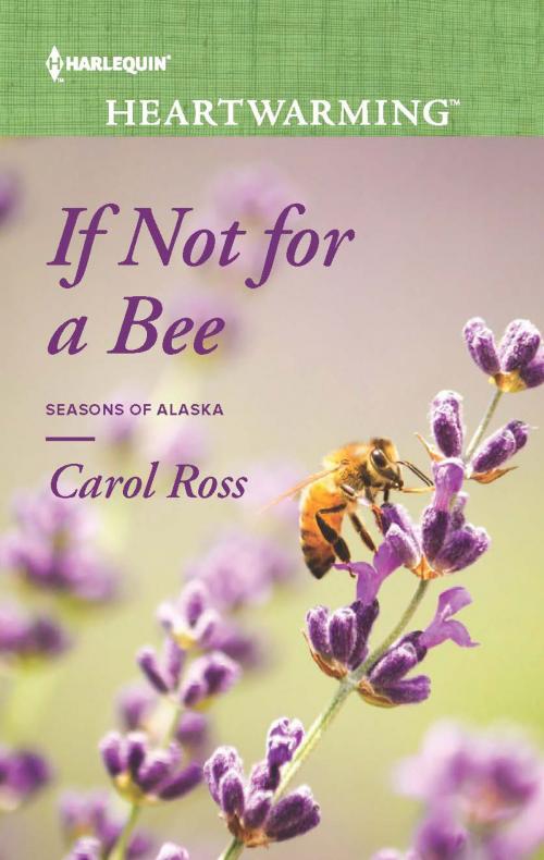Cover of the book If Not for a Bee by Carol Ross, Harlequin