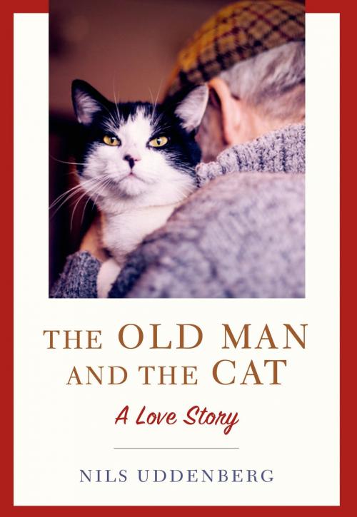 Cover of the book The Old Man and the Cat by Nils Uddenberg, St. Martin's Press