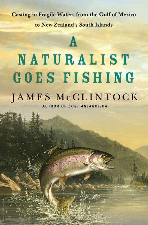 Cover of the book A Naturalist Goes Fishing by James McClintock, St. Martin's Press