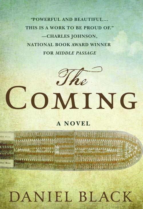 Cover of the book The Coming by Daniel Black, St. Martin's Press