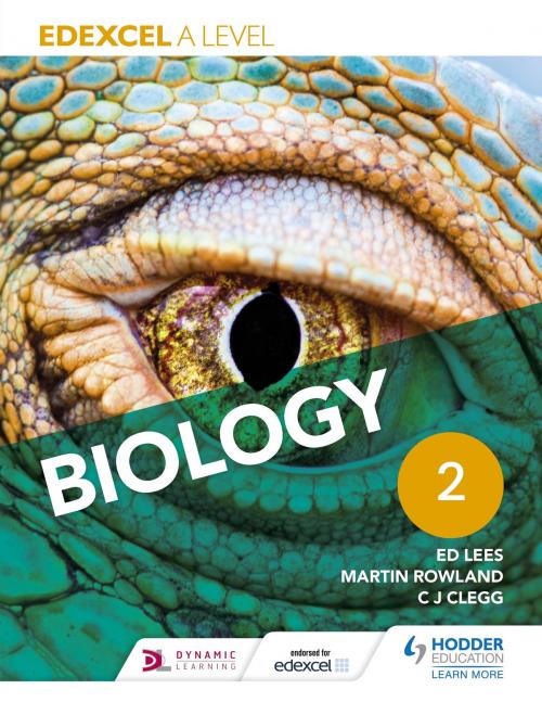Cover of the book Edexcel A Level Biology Student Book 2 by Ed Lees, Martin Rowland, C. J. Clegg, Hodder Education