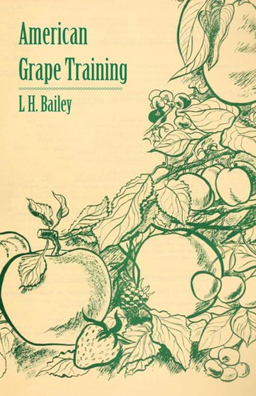 Cover of the book American Grape Training - An Account of the Leading Forms Now in Use of Training the American Grapes by L. H. Bailey, Read Books Ltd.