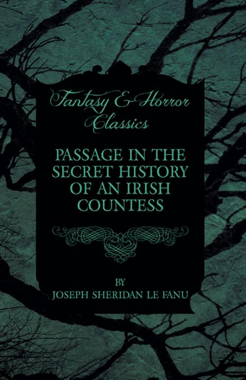 Cover of the book Passage in the Secret History of an Irish Countess by Joseph Sheridan Le Fanu, Read Books Ltd.