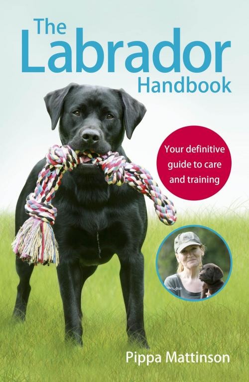 Cover of the book The Labrador Handbook by Pippa Mattinson, Ebury Publishing