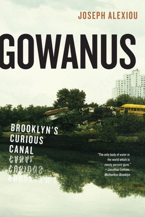 Cover of the book Gowanus by Joseph Alexiou, NYU Press
