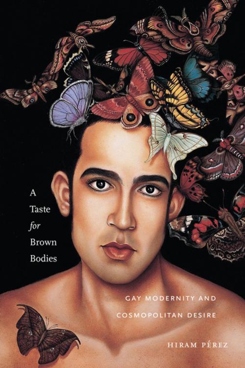 Cover of the book A Taste for Brown Bodies by Hiram Pérez, NYU Press