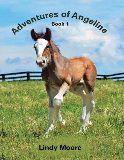 Cover of the book Adventures of Angeline: Book 1 by Lindy Moore, Lulu Publishing Services