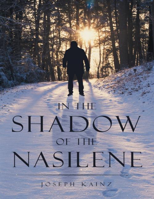 Cover of the book In the Shadow of the Nasilene by Joseph Kainz, Lulu Publishing Services